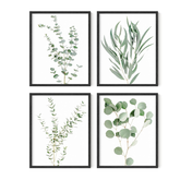 Botanical Plant Wall Art Prints Set of 4, Boho Floral Leaf Eucalyptus Decor, 8x10 Unframed