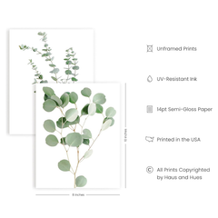 Botanical Plant Wall Art Prints Set of 4, Boho Floral Leaf Eucalyptus Decor, 8x10 Unframed